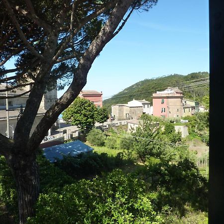 Hotel Silvia Framura - Cinque Terre Zewnętrze zdjęcie