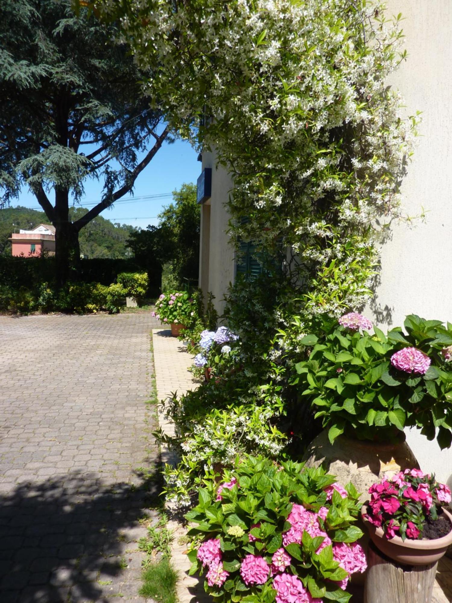 Hotel Silvia Framura - Cinque Terre Zewnętrze zdjęcie