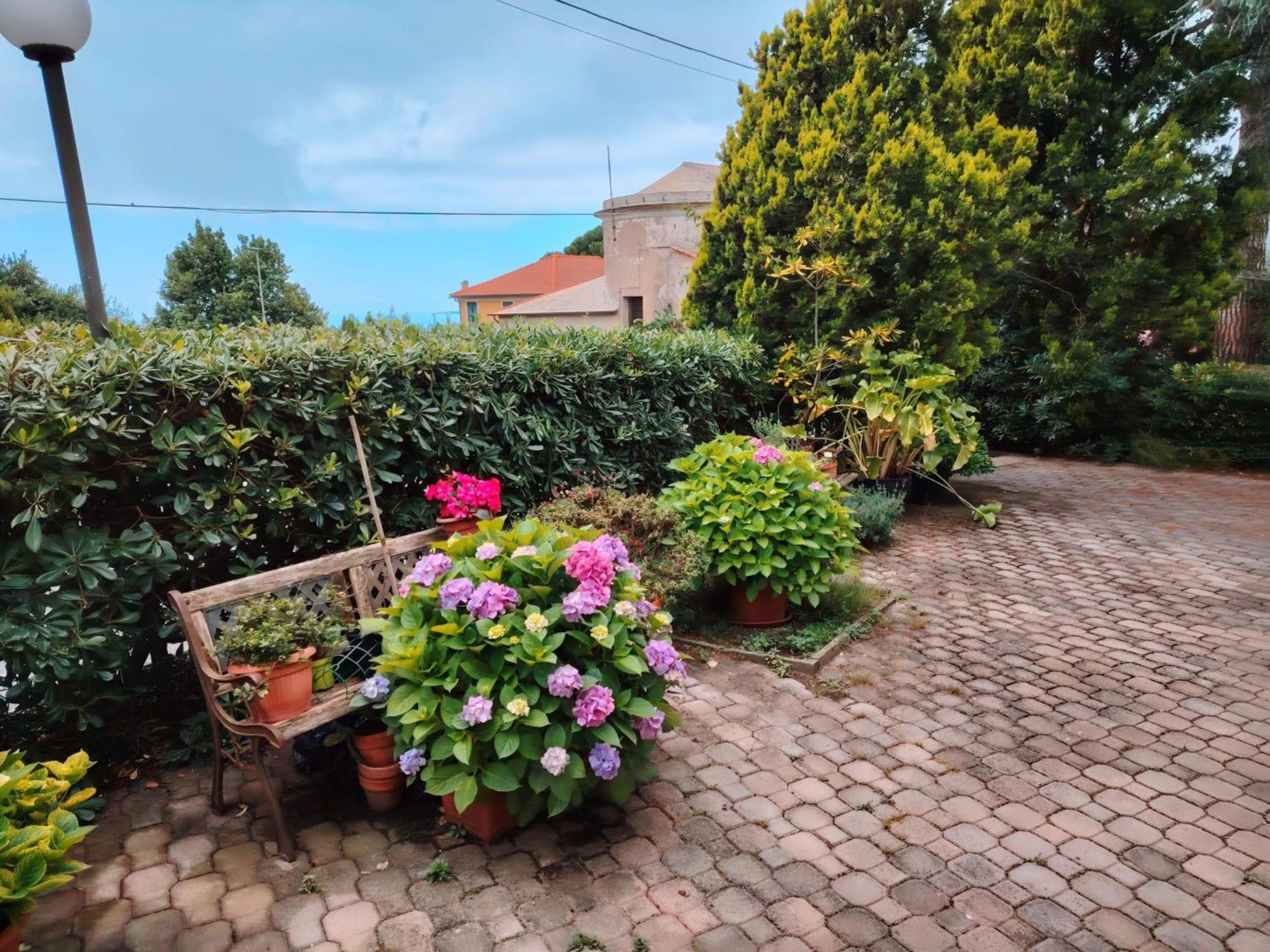 Hotel Silvia Framura - Cinque Terre Zewnętrze zdjęcie