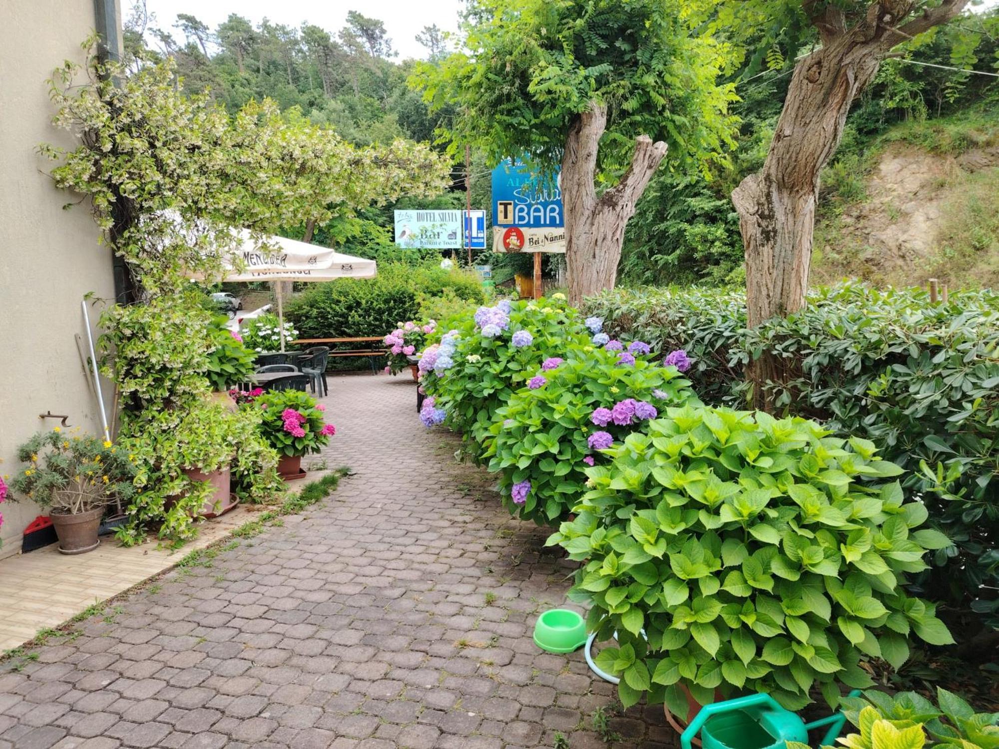 Hotel Silvia Framura - Cinque Terre Zewnętrze zdjęcie