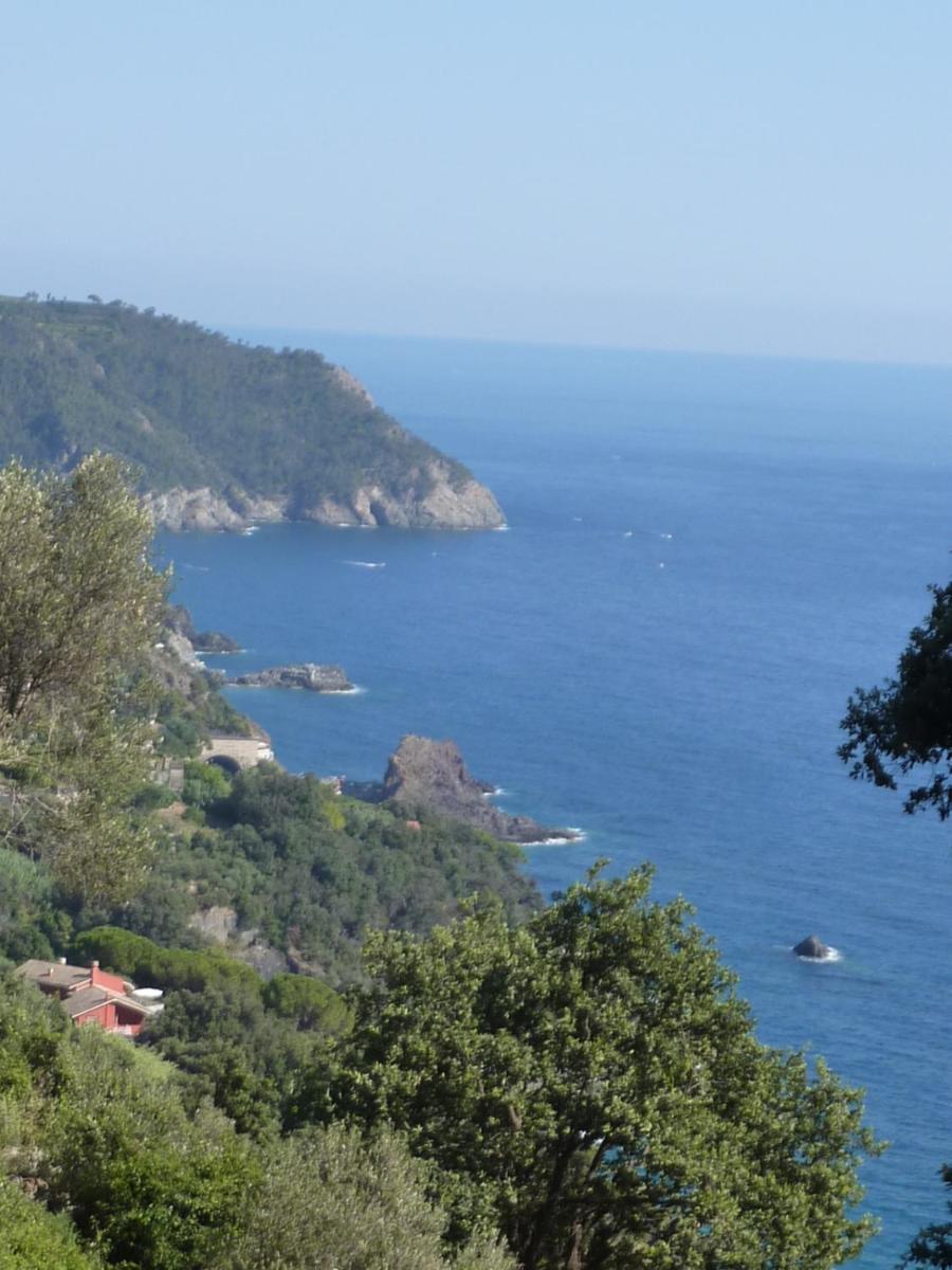 Hotel Silvia Framura - Cinque Terre Zewnętrze zdjęcie